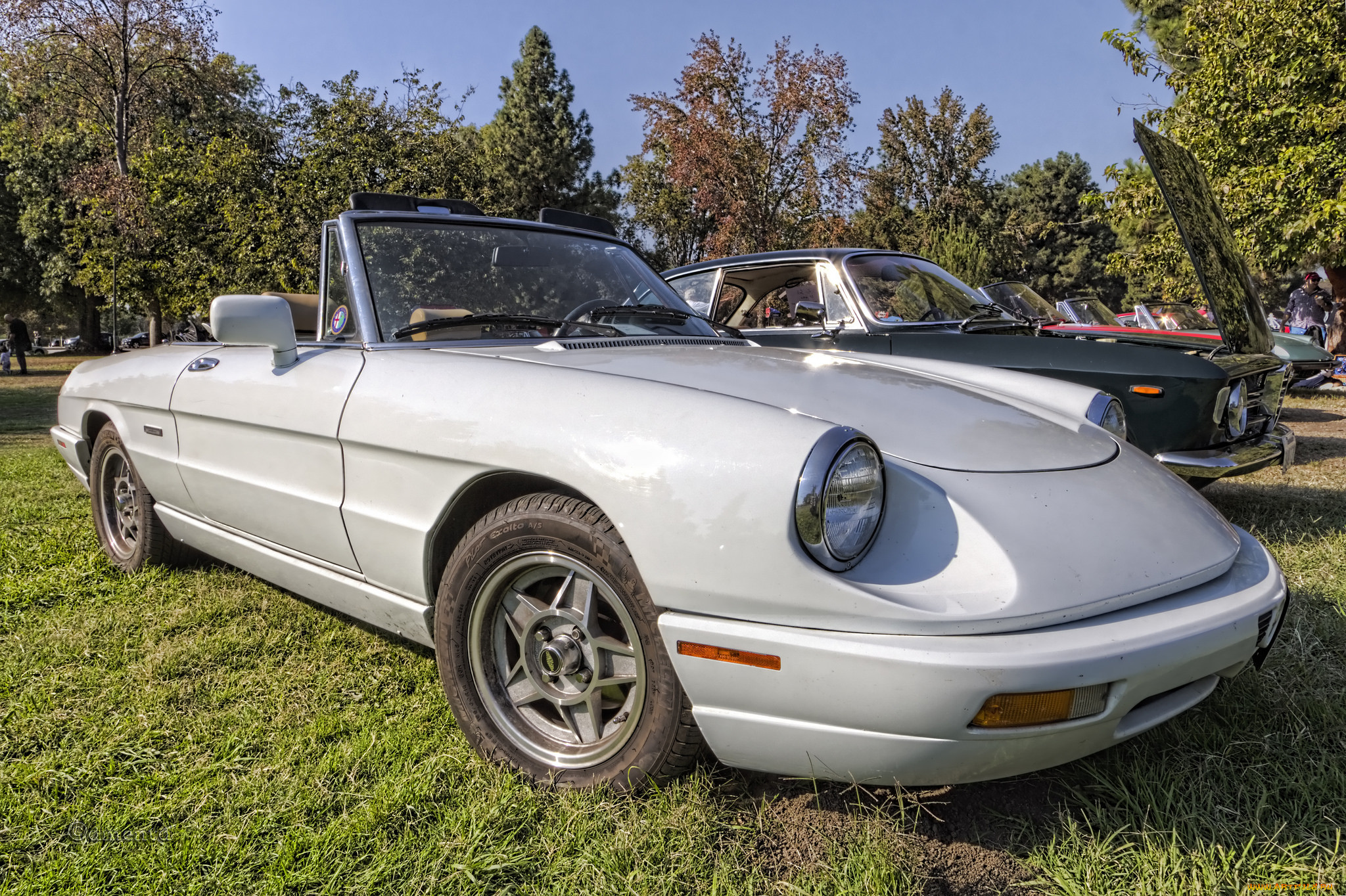 alfa romeo spider, ,    , , 